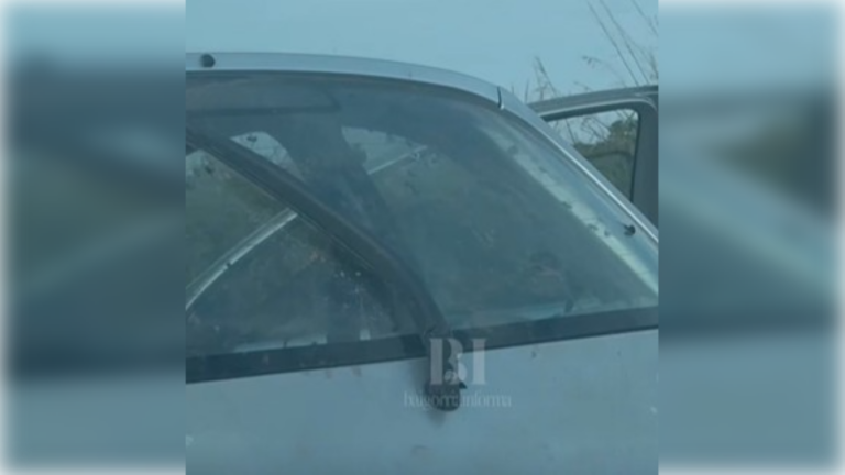 Falleció un hombre oriundo de Baigorria tras ser atacado por un enjambre de abejas en San Carlos Centro