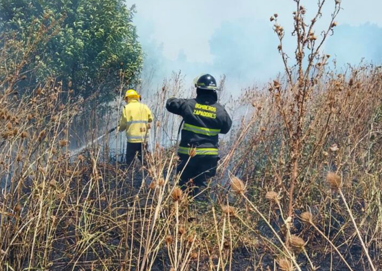 En menos de dos horas, bomberos controlaron dos incendios de pastizales en la región