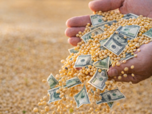 Primer plano de manos de un productor sosteniendo soja y billetes de dólar, simbolizando la liquidación de divisas del agro.