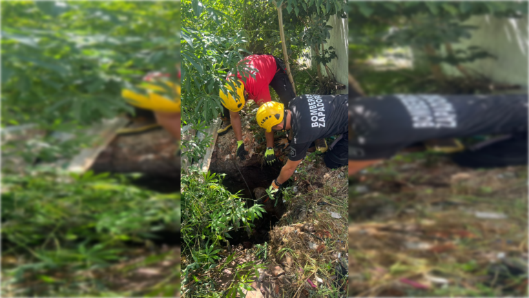 Bomberos salvan a un perro que cayó en un pozo séptico en San Lorenzo