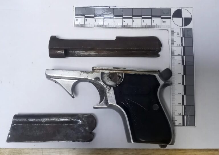 Hallaron un arma abandonada en el Parador  Turístico de San Lorenzo tras una clase de cumbia