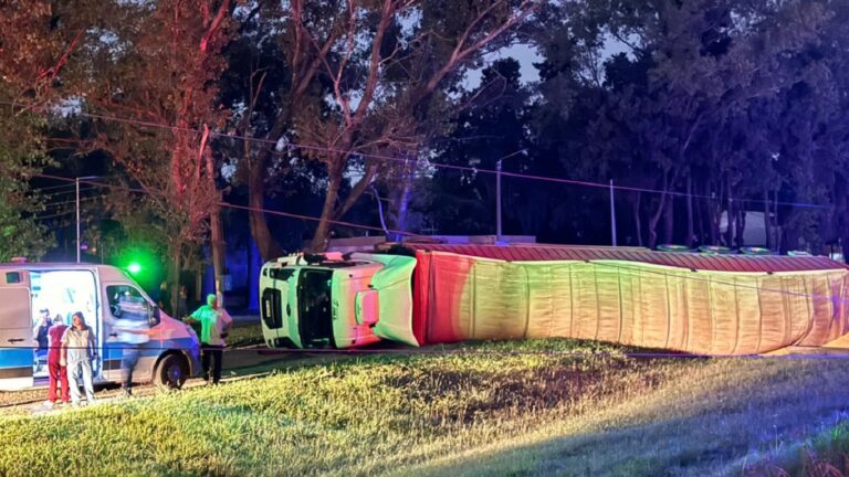 Un camión volcó en la A012, derribó una columna y dejó sin luz a parte de Ricardone