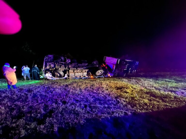 Vuelco de camión con ganado en la autopista: rescataron a un menor atrapado y el tránsito sigue interrumpido