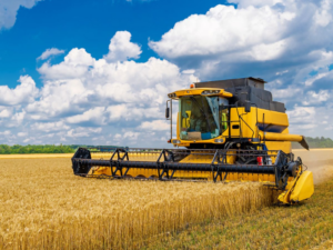 Campo argentino sin retenciones: proyección de cosecha récord de 251 millones de toneladas.