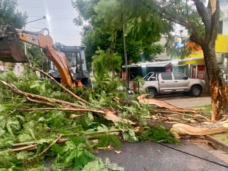 Temporal con ráfagas intensas dejó más de 50 árboles caídos y graves destrozos en San Lorenzo