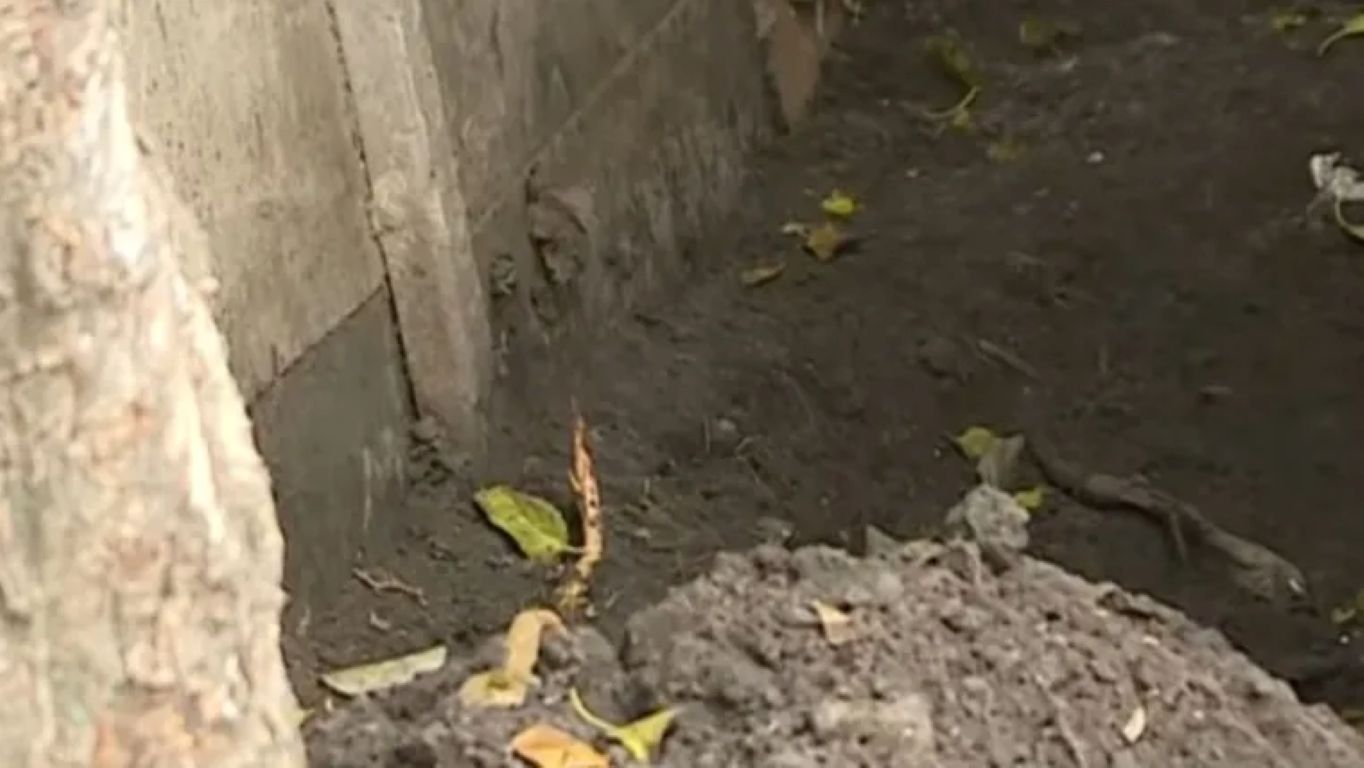 Claypole: un nene de 12 años cavó en el fondo de la casa de su padrastro y encontró el cuerpo enterrado de su madre