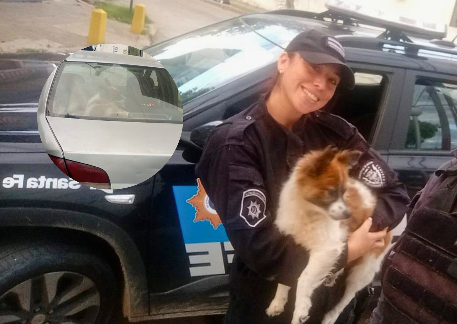 Rescatan a un perro encerrado en un auto en Capitán Bermúdez