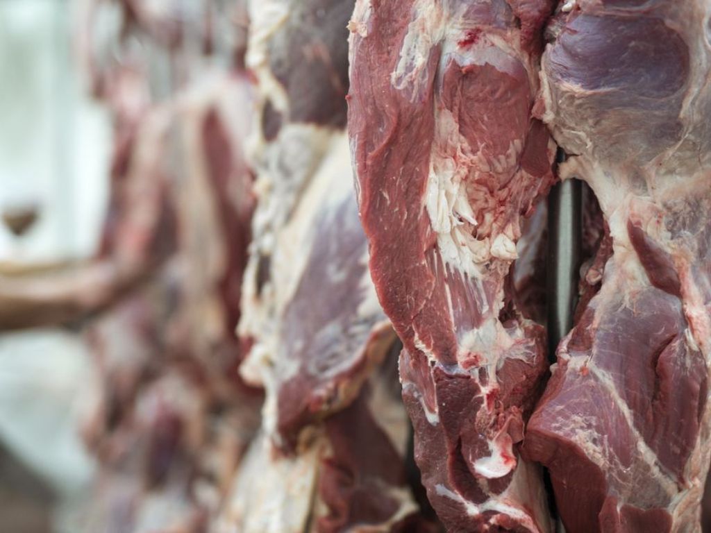 Exportaciones de carne vacuna: histórico arranque de año con cifras récord