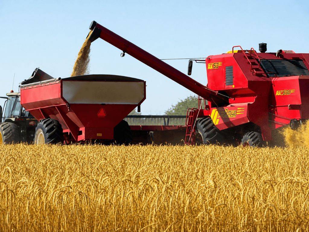 El agro respira: proyectan una fuerte suba en el ingreso de dólares para 2026