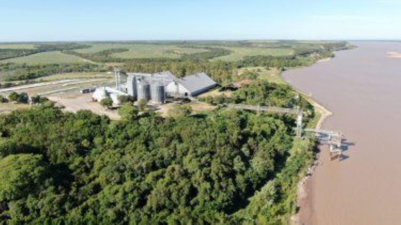 LDC apuesta a Bahía Blanca: invertirá en industrialización de oleaginosas