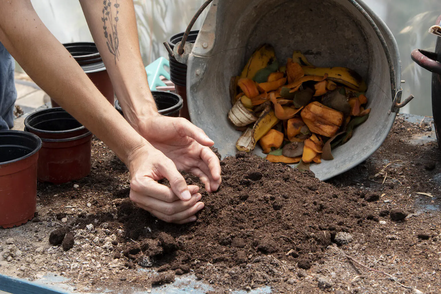 La Municipalidad realizará una feria ambiental con actividades para estudiantes de todos los niveles