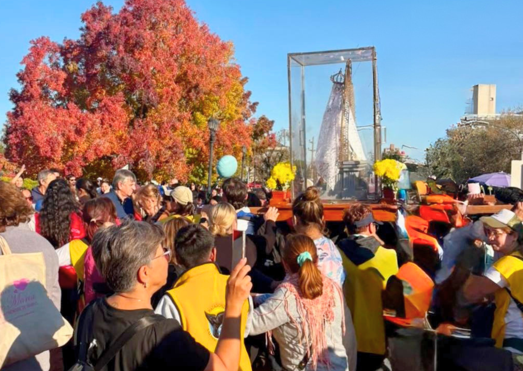 Arzobispo Eduardo Martín presidiendo la misa central de la Peregrinación a San Lorenzo en el Campo de la Gloria."