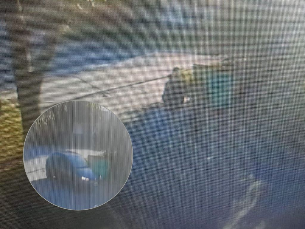 Narcotráfico un prófugo y dos primos imputados: la sangrienta trama detrás del secuestro y ejecución de Gastón Montenegro