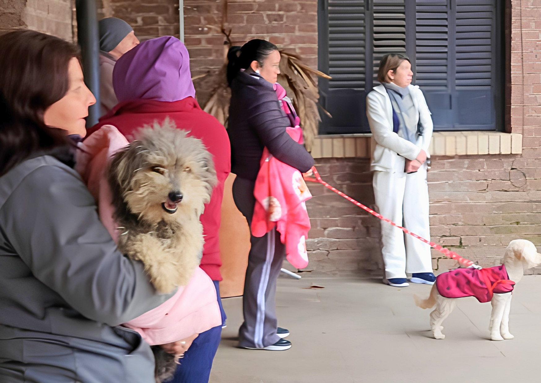 San Jerónimo Sud: Más de 130 mascotas fueron asistidas en la campaña comunal de sanidad animal