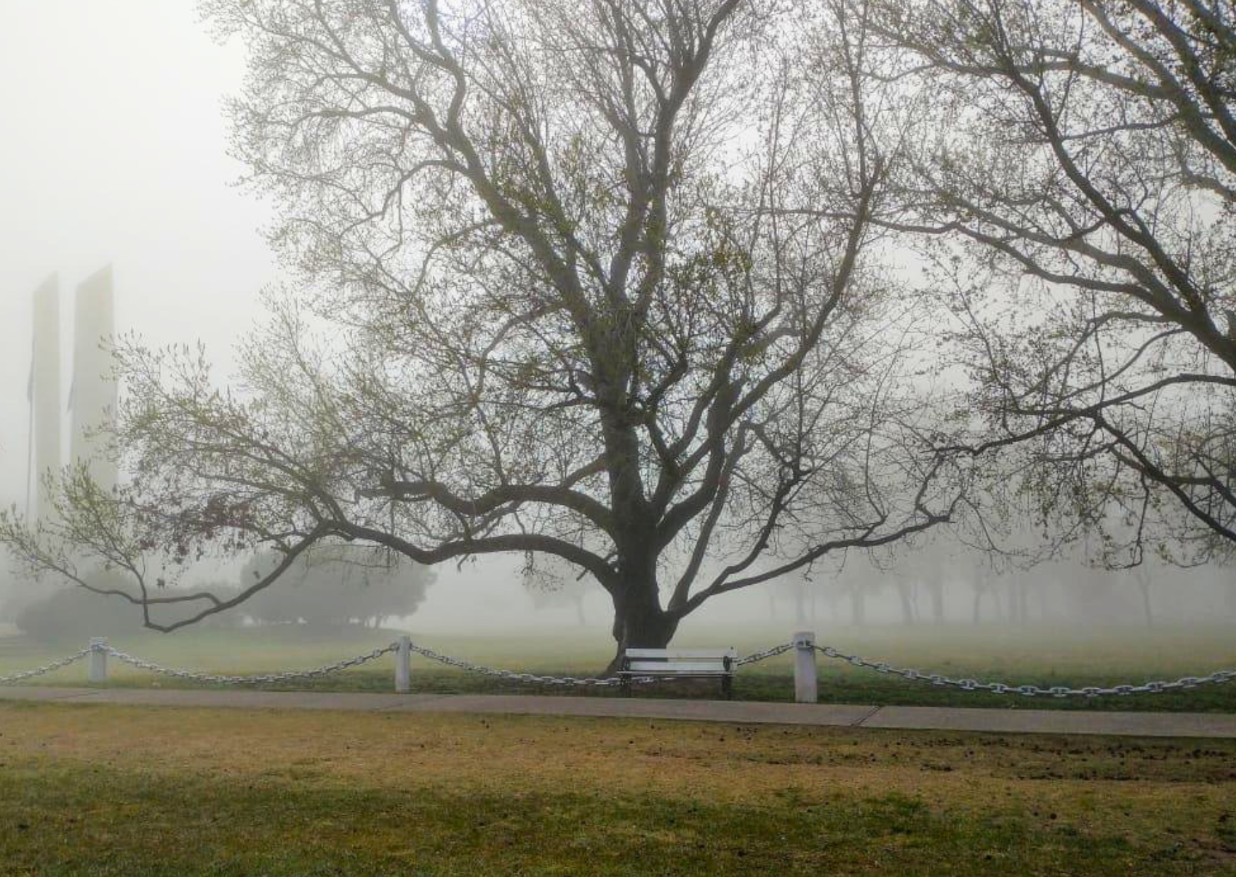 Vehículos circulan con baja visibilidad por la densa niebla en Rosario durante la mañana.