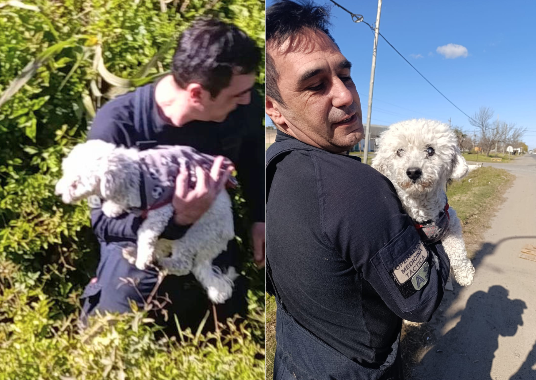 Final feliz en San Lorenzo: Bomberos Voluntarios rescataron a un perro atrapado en una alcantarilla