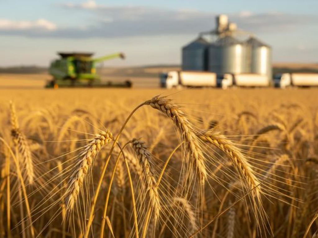Crecimiento de las exportaciones agroindustriales en 2026.