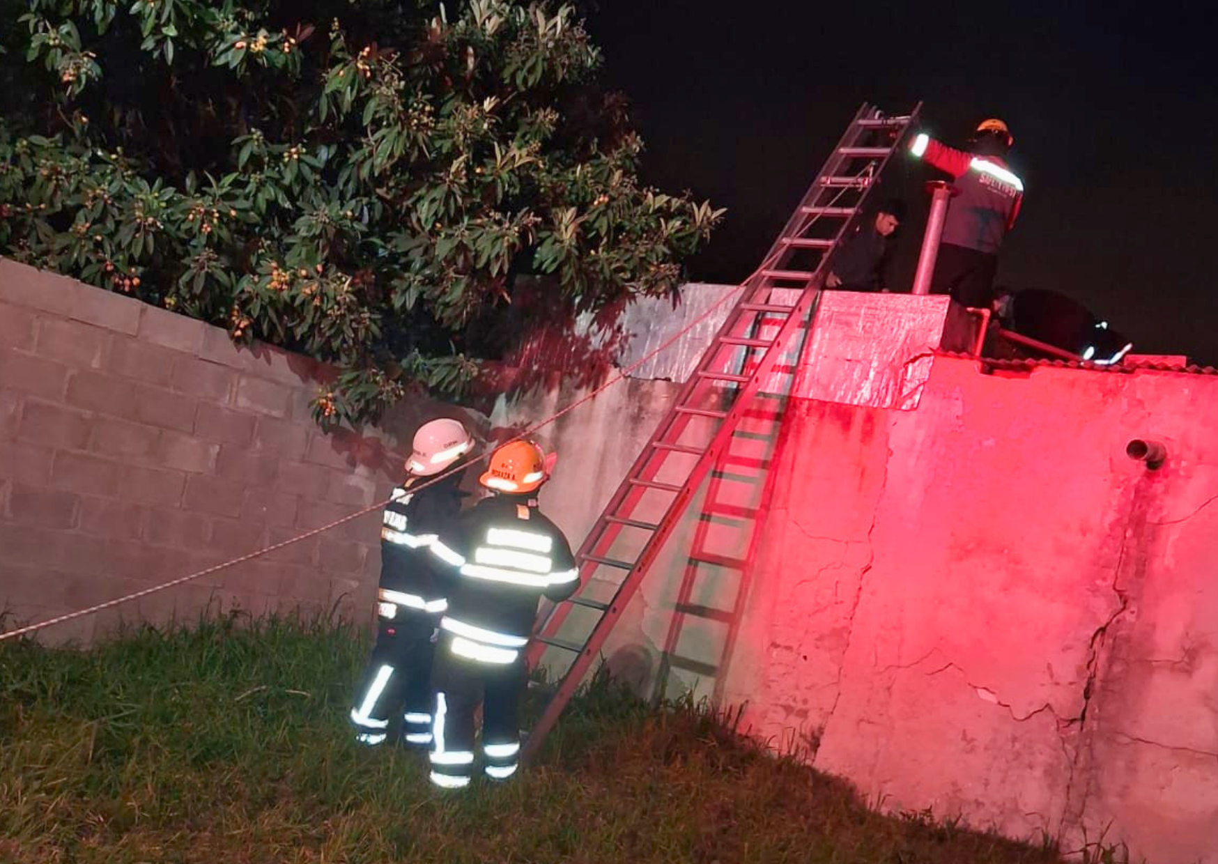 San Lorenzo: Bomberos Voluntarios rescataron a una mujer que subió al techo a buscar a su gato