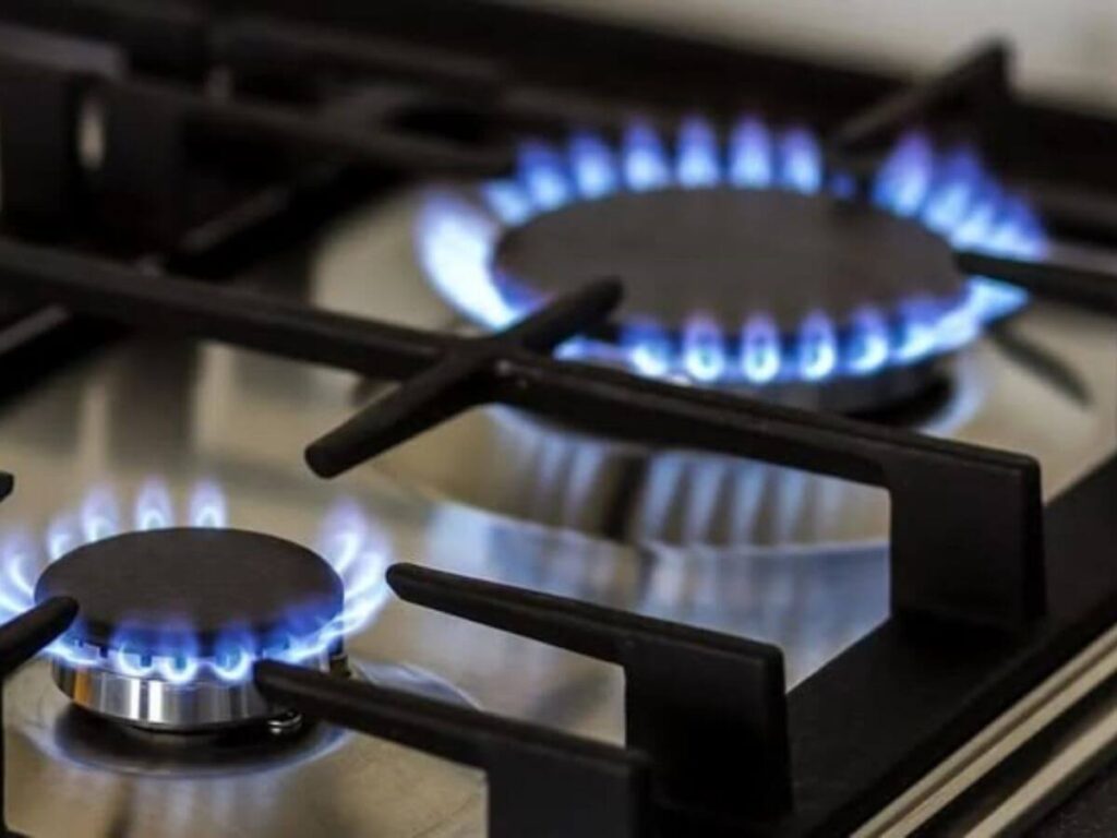 Factura de gas y subsidio de Zona Fría