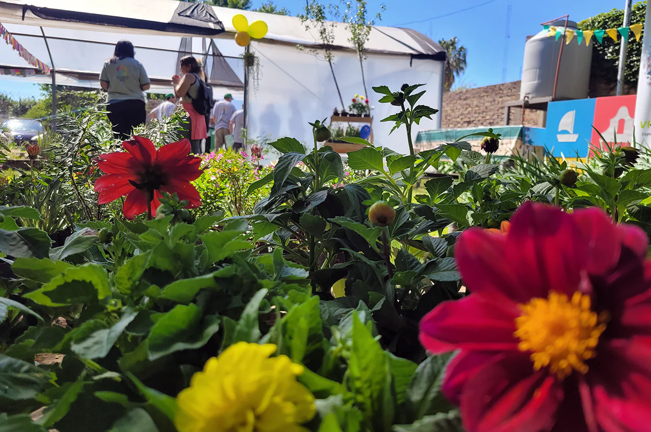 El Vivero Inclusivo de San Lorenzo celebra la llegada de la primavera con una feria abierta a la comunidad