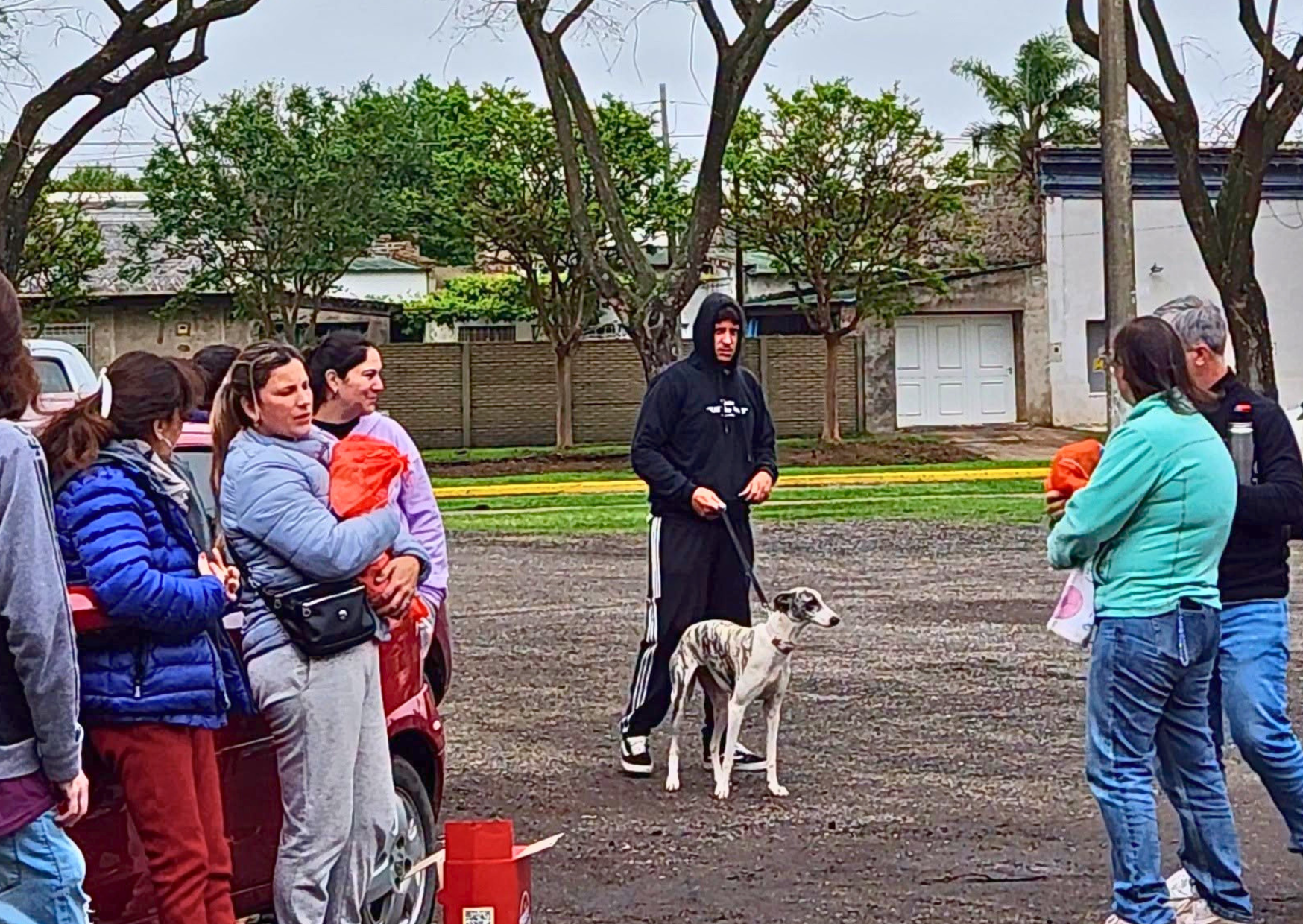 San Jerónimo Sud: una nueva jornada de castración y vacunación gratuita alcanzó a más de 180 mascotas en el último año