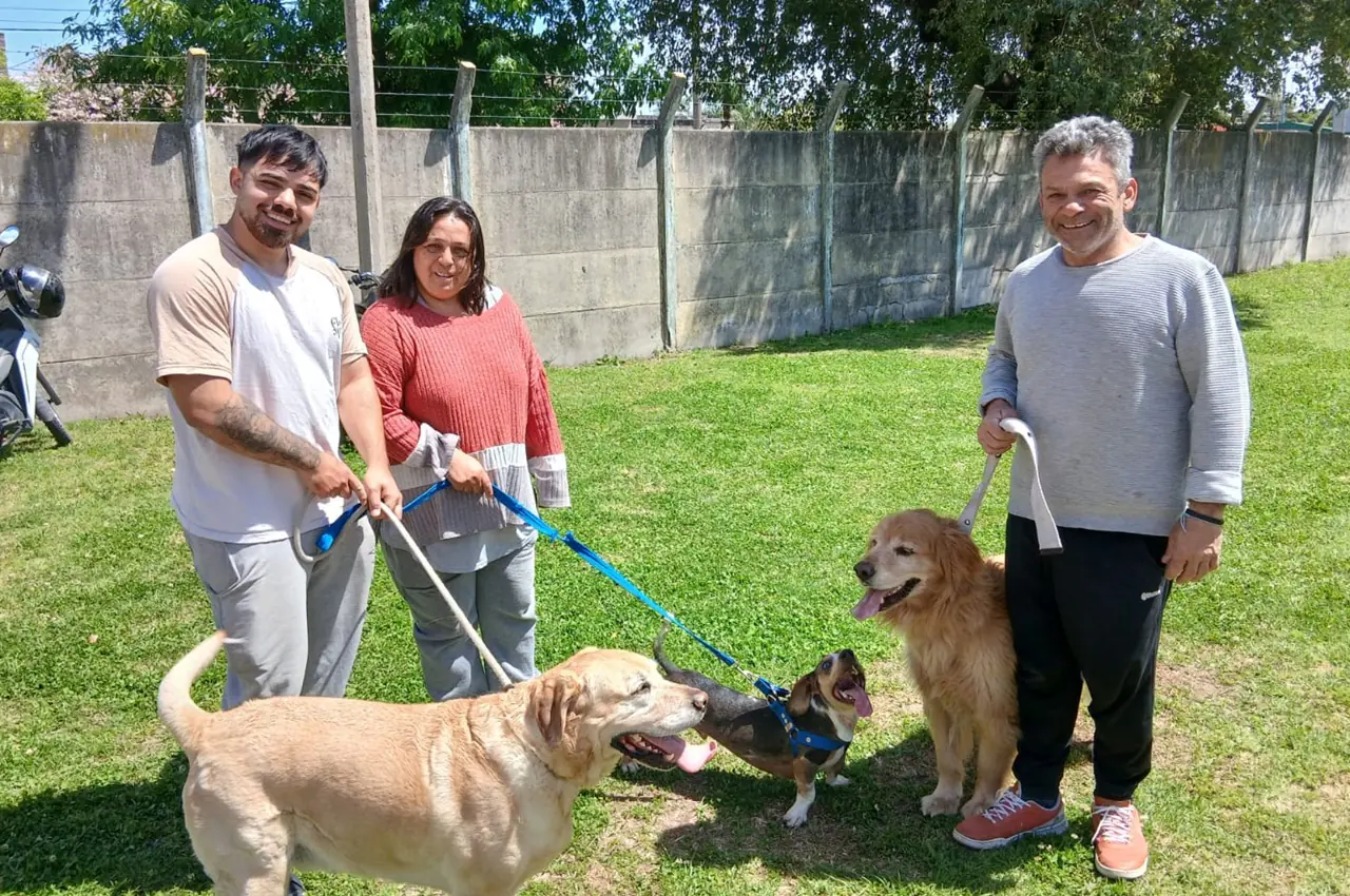 San Lorenzo cerró su campaña antirrábica con 230 animales vacunados en un día y prepara dos jornadas extra en diciembre